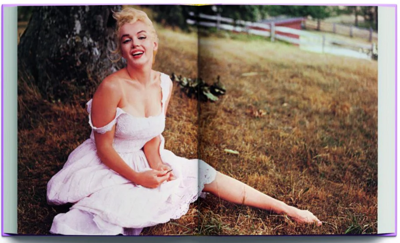 Marilyn Monroe Style By Terry Newman