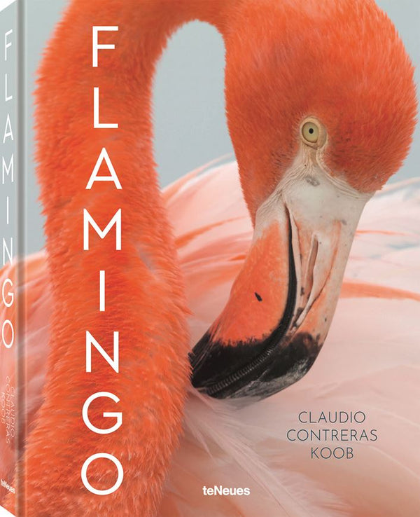 FLAMINGO BY CLAUDIO CONTRERAS KOOB