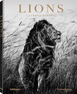 LIONS BY LAURENT BAHEUX