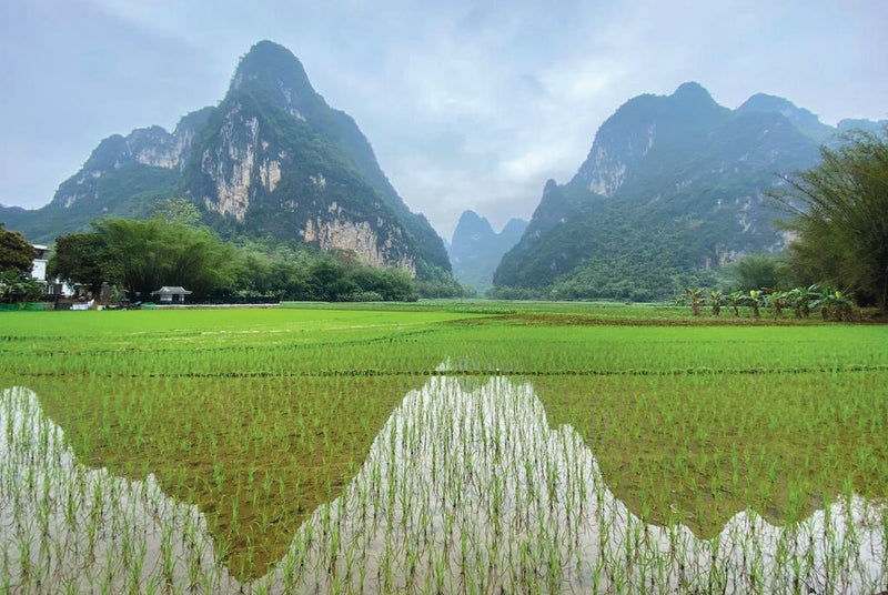 CHINA, HARMONY OF COLOURS BY ANNETTE MORHENG